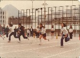 Thumbs/tn_168.jpg